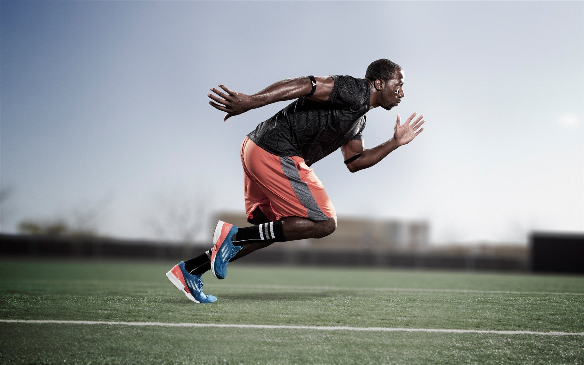 鹰啸东决,拉文关键接管,芝加哥新王登基